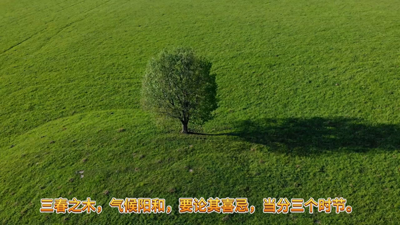 三春之木，气候阳和，要论其喜忌，当分三个时节 立春后，雨水前