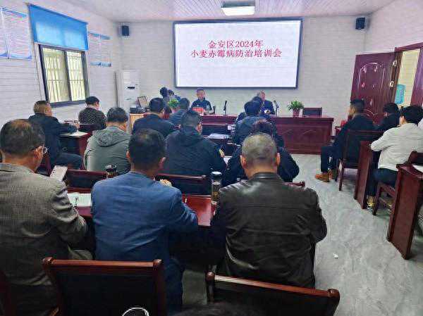 六安市金安区木厂镇召开2024年度小麦赤霉病防控现场会