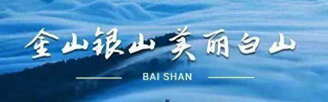 露水河长白山狩猎度假区·清明踏春寻一场与春的重逢