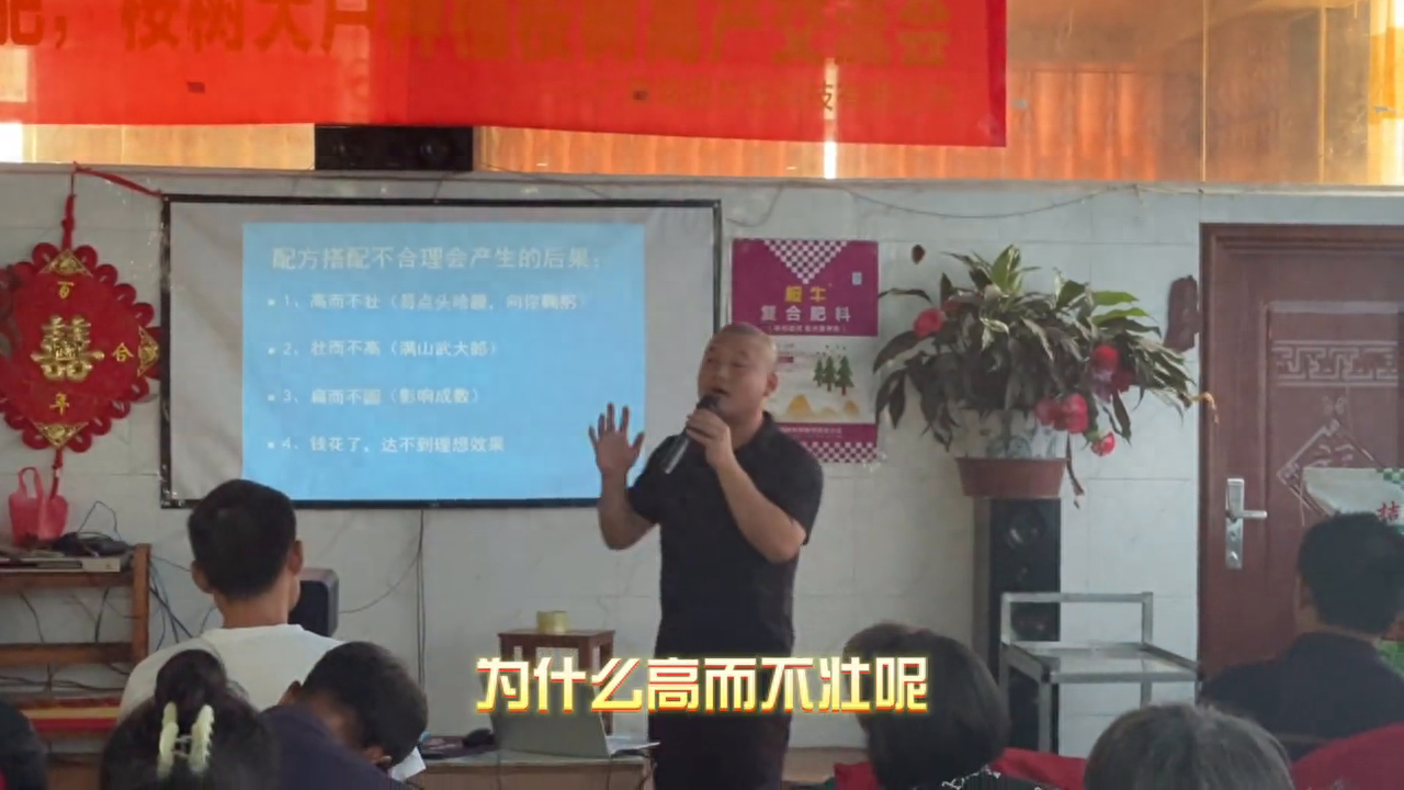 桉树，材木价格 #鑫田农业