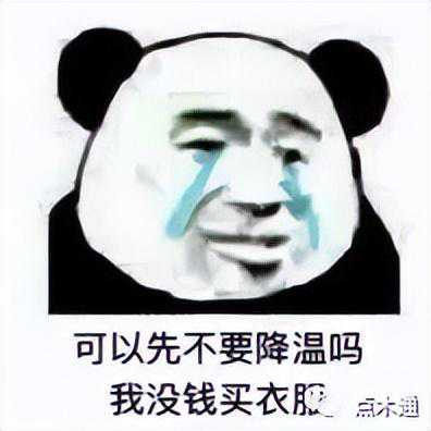 全国木材价格再跌！最大跌幅已达120元/立方
