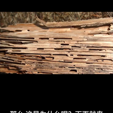 木材烘干，烘干房，农产品烘干#家用取暖炉推荐