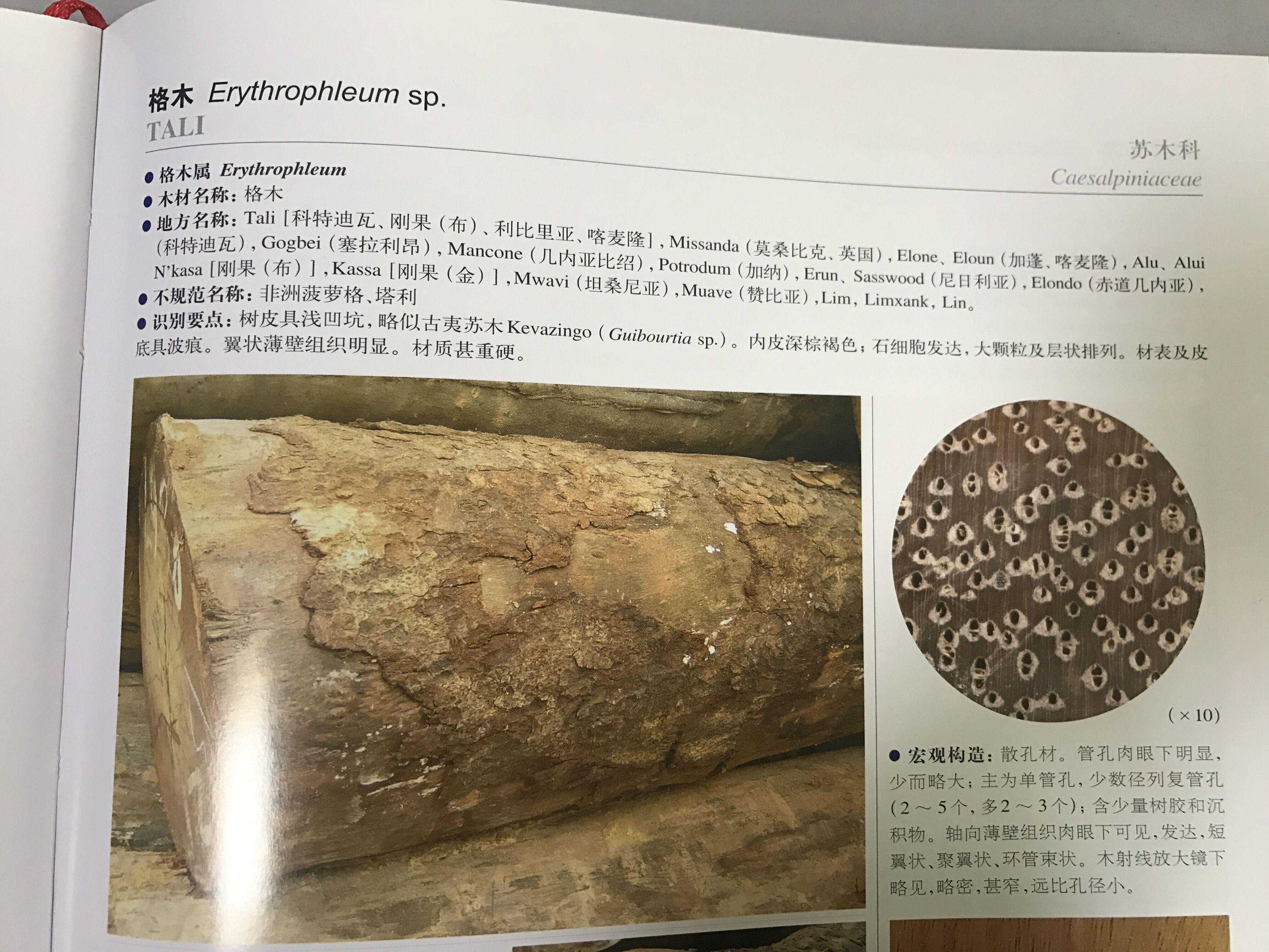 非洲菠萝格