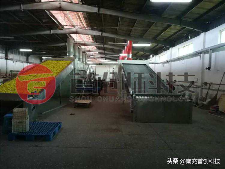 自动化五味子烘干机械设备，提高五味子干燥速度和品质