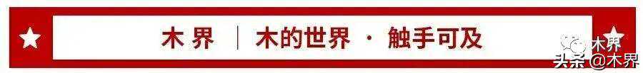 实用指南｜木材进口知多少