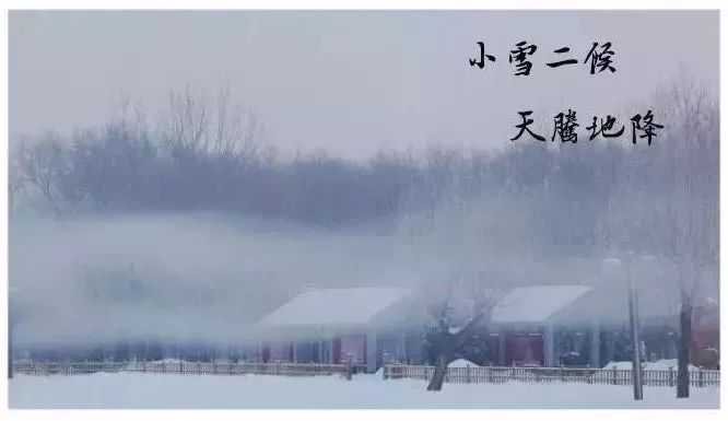 今日小雪，愿与你共翩跹