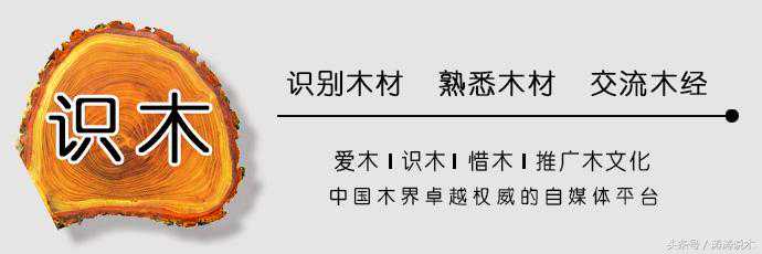「识木」木材银叶树简介