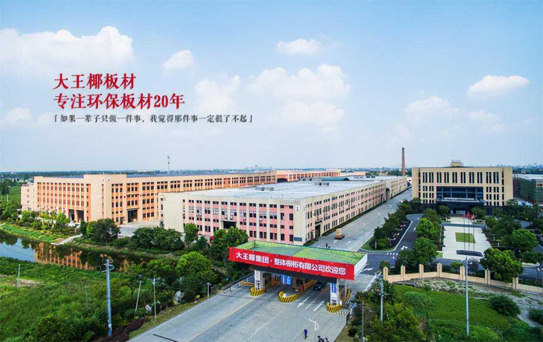 细数大王椰那些优质板材