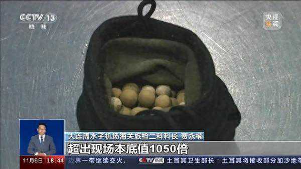 海关多次查获辐射超标“保健石”，真能保健吗？
