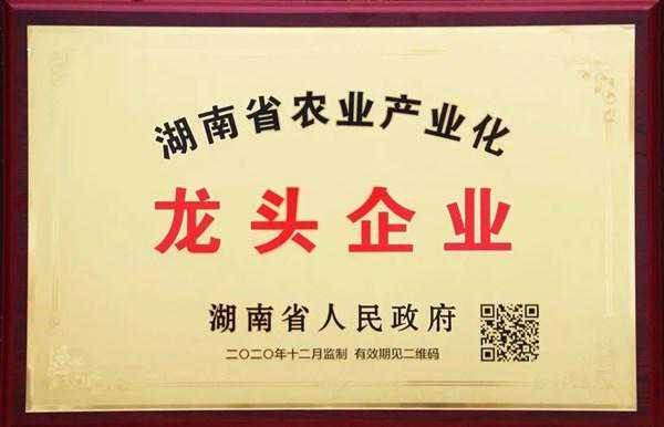 实力与荣誉见证品牌力量！湖南福湘木业再获两项省级荣誉称号