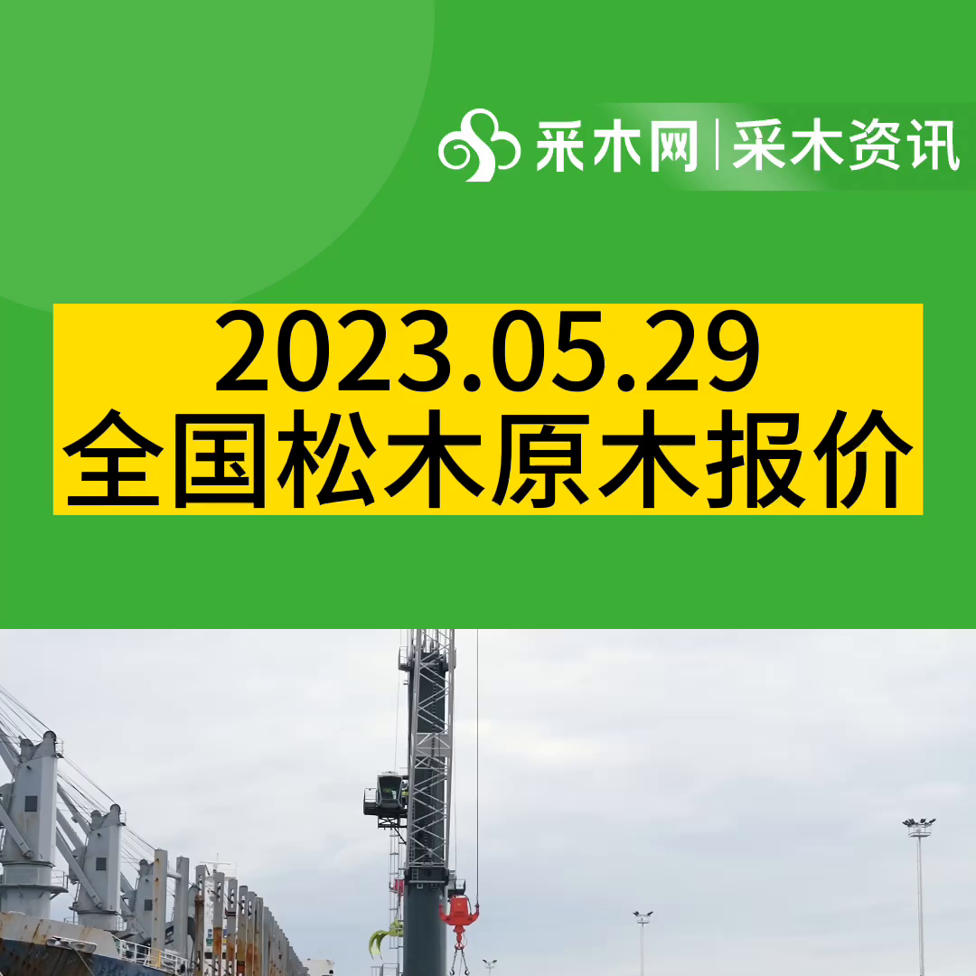 【2023.05.29全国松木原木报价】 #木材价格
