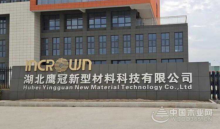 实至名归！鹰冠木业获得金匠榜“行业影响力板材十大品牌”荣誉