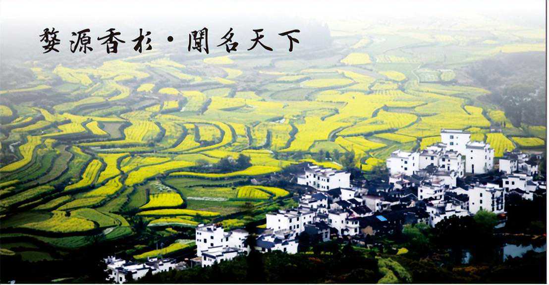国庆黄金周家装必备：金利源ENF级香杉实木生态板