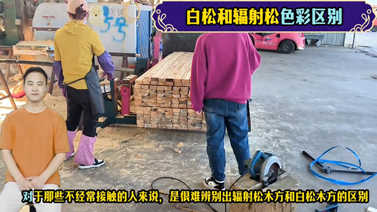 辐射松和白松区别白松好还是辐射松好 #白松和辐射松区别