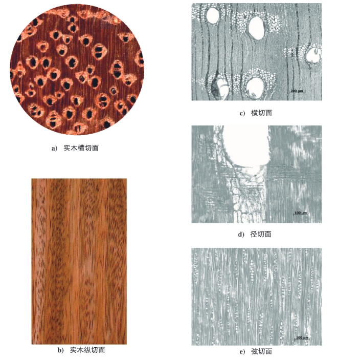 非洲菠萝格木材，你想了解的都知道！全是干货
