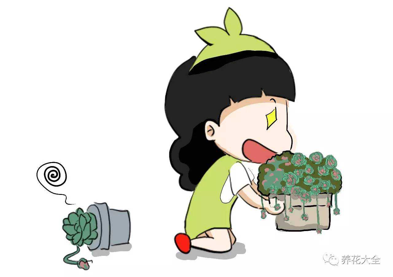 “艺术感十足”的铁艺花箱花架，用于园林绿化效果喜人(多图)