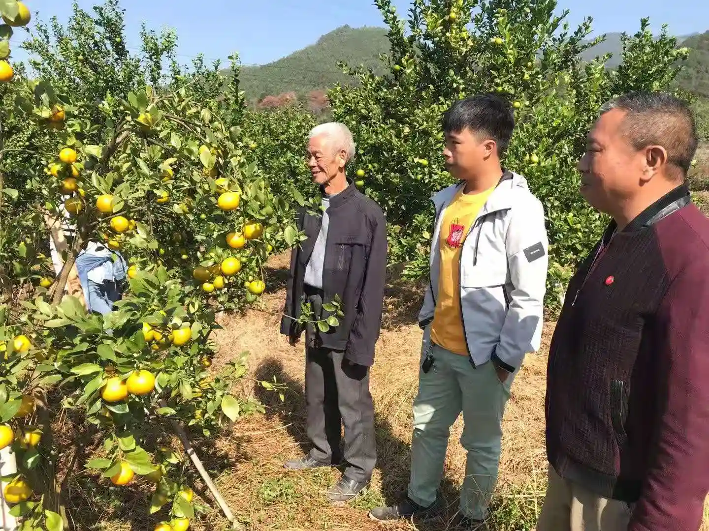 东莞樟木头：帮扶韶关贫困村卖山货，村收入5年增长30倍