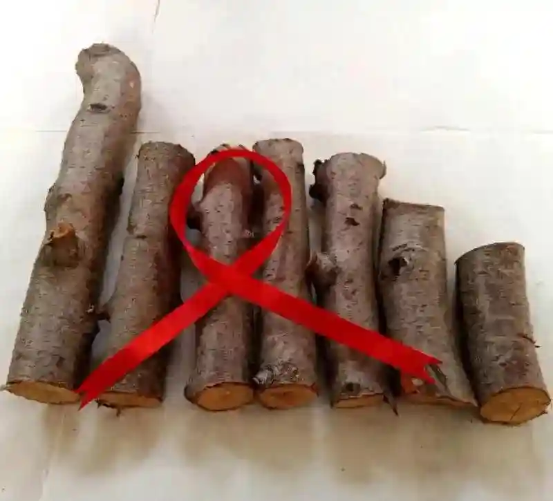 同样是木头！桃木为何能“辟邪”？这背后有哪些不为人知的秘密？