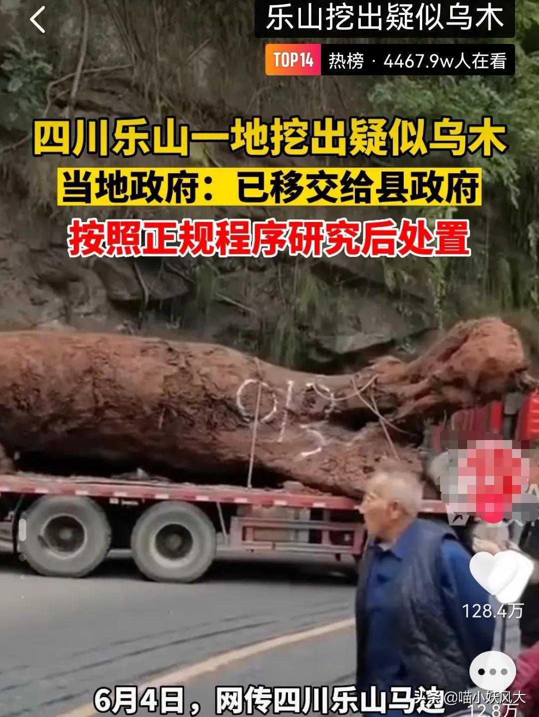 四川挖出巨型乌木！乌木为啥被称为“东方神木”？为何千年不腐？