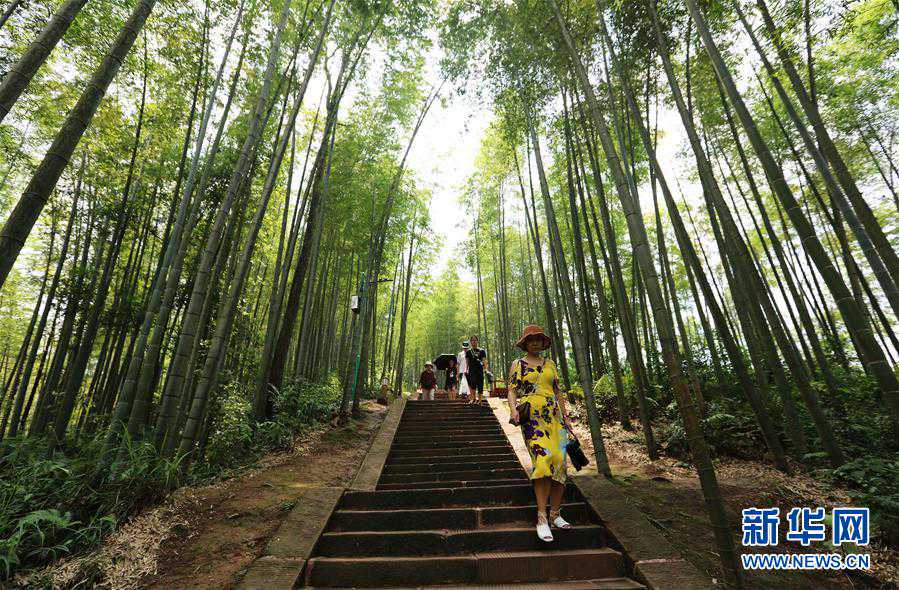 向阳花木易为春——绿色发展之“木”的故事